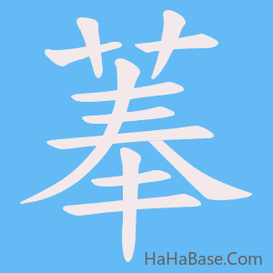 《菶》的筆順動畫寫字動畫演示