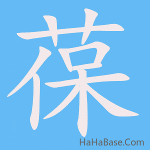 《葆》的筆順動畫寫字動畫演示