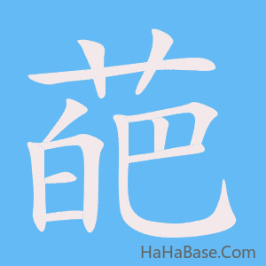 《葩》的筆順動畫寫字動畫演示