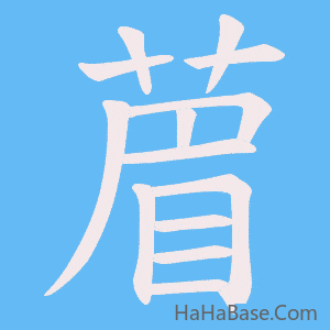《葿》的筆順動畫寫字動畫演示