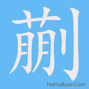 《蒯》的筆順動畫寫字動畫演示