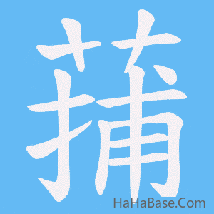 《蒱》的筆順動畫寫字動畫演示