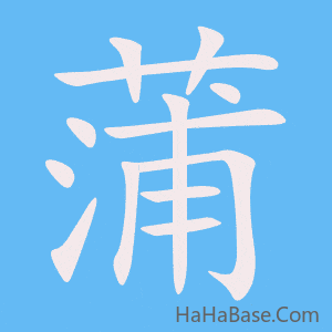 《蒲》的筆順動畫寫字動畫演示