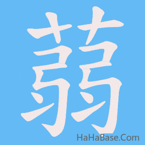《蒻》的筆順動畫寫字動畫演示