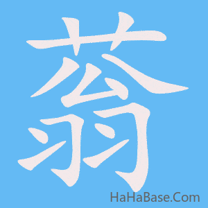 《蓊》的筆順動畫寫字動畫演示