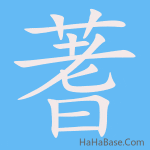 《蓍》的筆順動畫寫字動畫演示