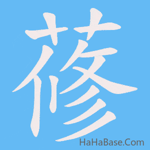 《蓚》的筆順動畫寫字動畫演示