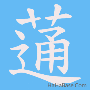 《蓪》的筆順動畫寫字動畫演示