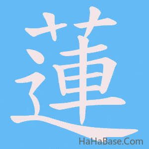 《蓮》的筆順動畫寫字動畫演示