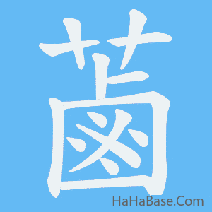 《蓾》的筆順動畫寫字動畫演示