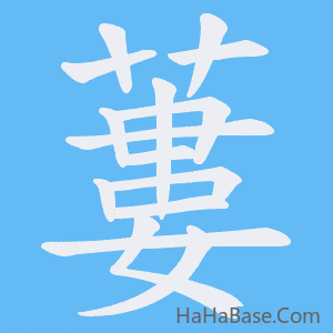 《蔞》的筆順動畫寫字動畫演示