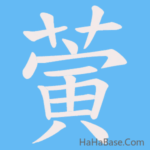 《蔩》的筆順動畫寫字動畫演示
