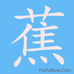 《蕉》的筆順動畫寫字動畫演示