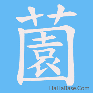 《薗》的筆順動畫寫字動畫演示