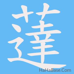 《薘》的筆順動畫寫字動畫演示
