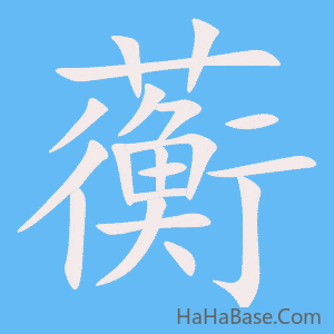 《蘅》的筆順動畫寫字動畫演示