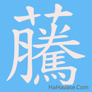 《虅》的筆順動畫寫字動畫演示
