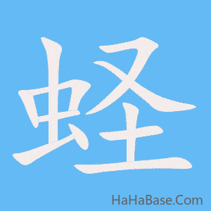《蛏》的筆順動畫寫字動畫演示
