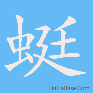 《蜓》的筆順動畫寫字動畫演示