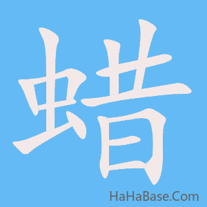 《蜡》的筆順動畫寫字動畫演示