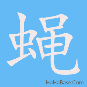 《蝇》的筆順動畫寫字動畫演示
