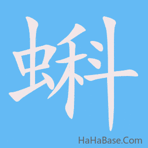 《蝌》的筆順動畫寫字動畫演示