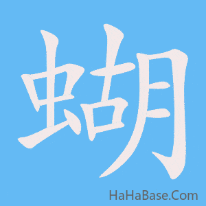 《蝴》的筆順動畫寫字動畫演示