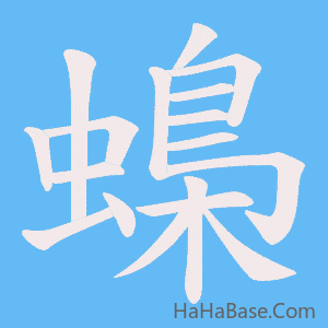 《蟂》的筆順動畫寫字動畫演示