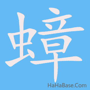 《蟑》的筆順動畫寫字動畫演示