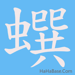 《蟤》的筆順動畫寫字動畫演示