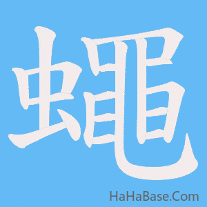 《蠅》的筆順動畫寫字動畫演示