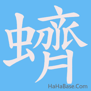 《蠐》的筆順動畫寫字動畫演示