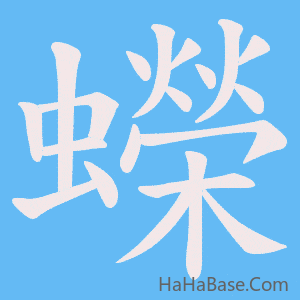 《蠑》的筆順動畫寫字動畫演示