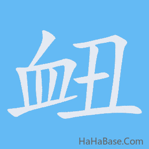 《衄》的筆順動畫寫字動畫演示