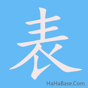 《表》的筆順動畫寫字動畫演示