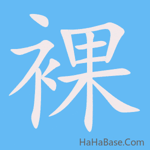 《裸》的筆順動畫寫字動畫演示