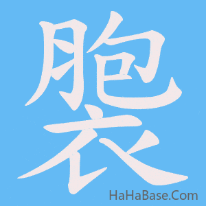 《褜》的筆順動畫寫字動畫演示