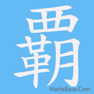 《覇》的筆順動畫寫字動畫演示