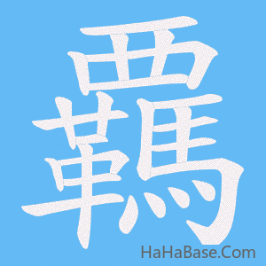 《覊》的筆順動畫寫字動畫演示