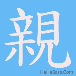 《親》的筆順動畫寫字動畫演示