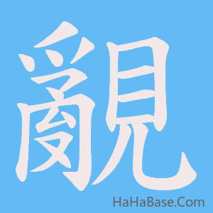 《覶》的筆順動畫寫字動畫演示