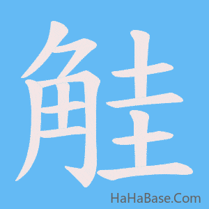 《觟》的筆順動畫寫字動畫演示