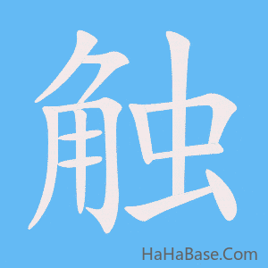 《触》的筆順動畫寫字動畫演示