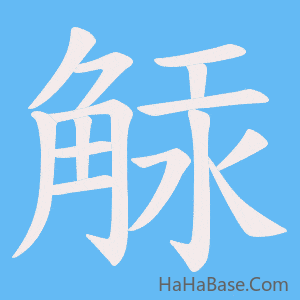 《觨》的筆順動畫寫字動畫演示