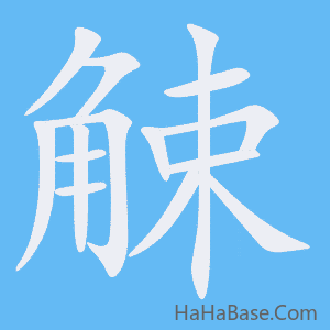 《觫》的筆順動畫寫字動畫演示