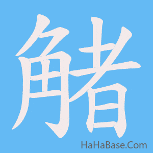《觰》的筆順動畫寫字動畫演示
