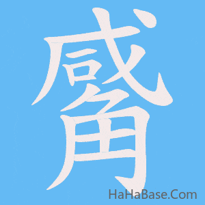 《觱》的筆順動畫寫字動畫演示