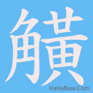 《觵》的筆順動畫寫字動畫演示