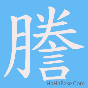 《謄》的筆順動畫寫字動畫演示