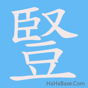 《豎》的筆順動畫寫字動畫演示
